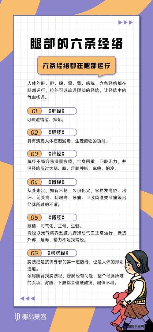 成年人一条腿多少斤？揭秘人体腿部重量及其对健康的影响