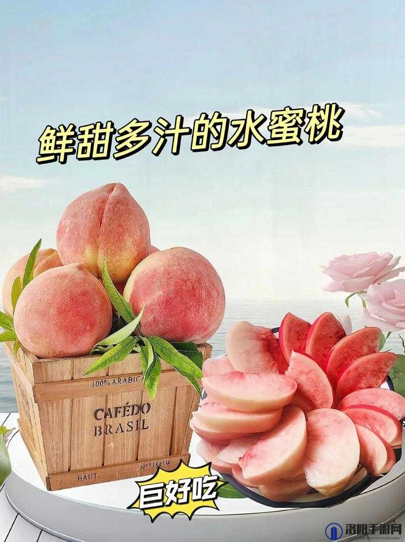 蜜桃高清视频到底有何独特魅力？快来一探究竟，精彩内容不容错过