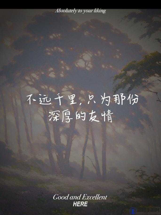 三个老汉与嫩苞的奇妙邂逅：一段跨越年龄的友情与成长故事