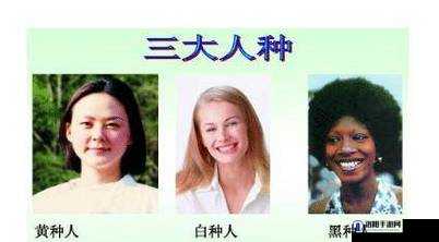 为什么黑人的生育率如此之高?这是由什么原因造成的呢?