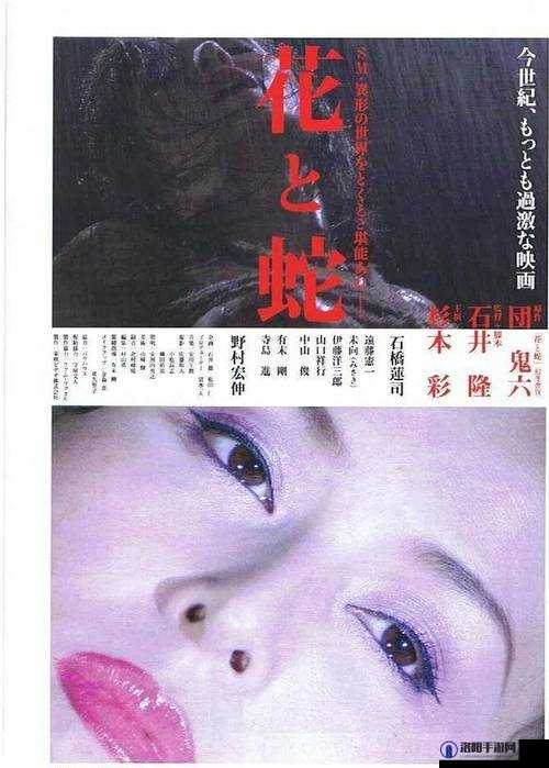 肉蒲团之夜销魂A片君岛美绪:经典情色电影的魅力与艺术价值
